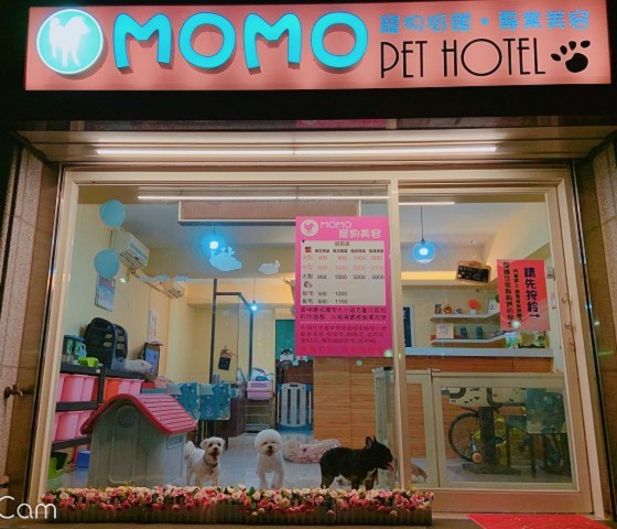 MOMO寵物旅館,狗狗鮮食,狗狗手工點心,鮮食享用